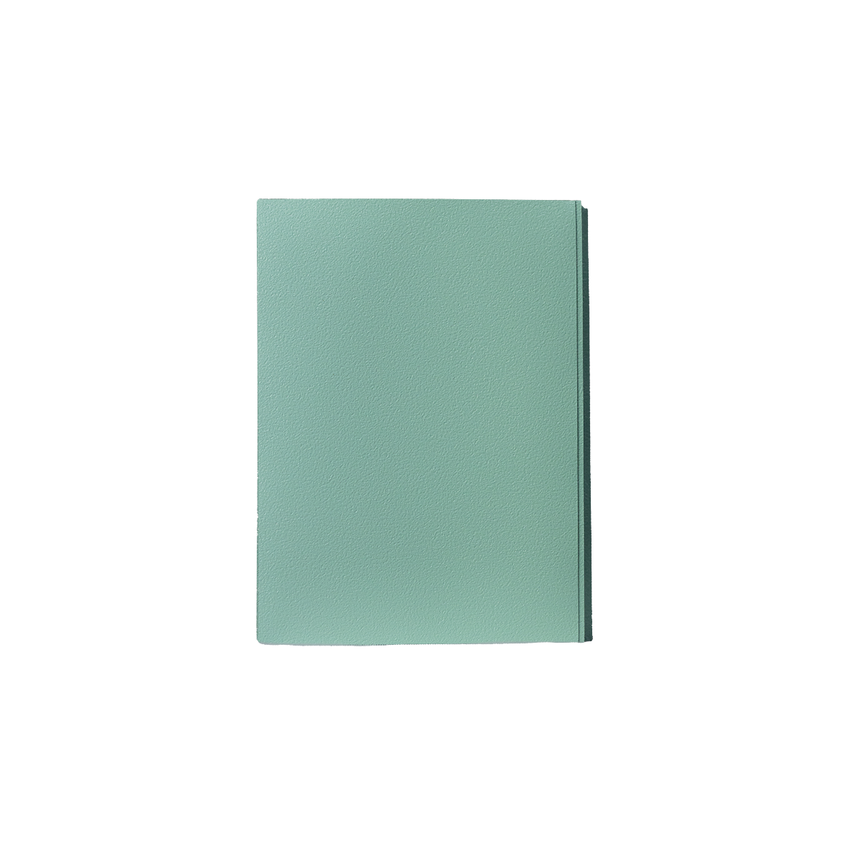 GEM Shield Dual Matte - Mint - Imagem 2